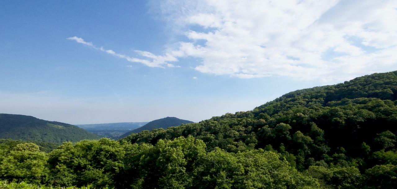 Biss Badaliss - Bed & Breakfast Valdobbiadene Zewnętrze zdjęcie
